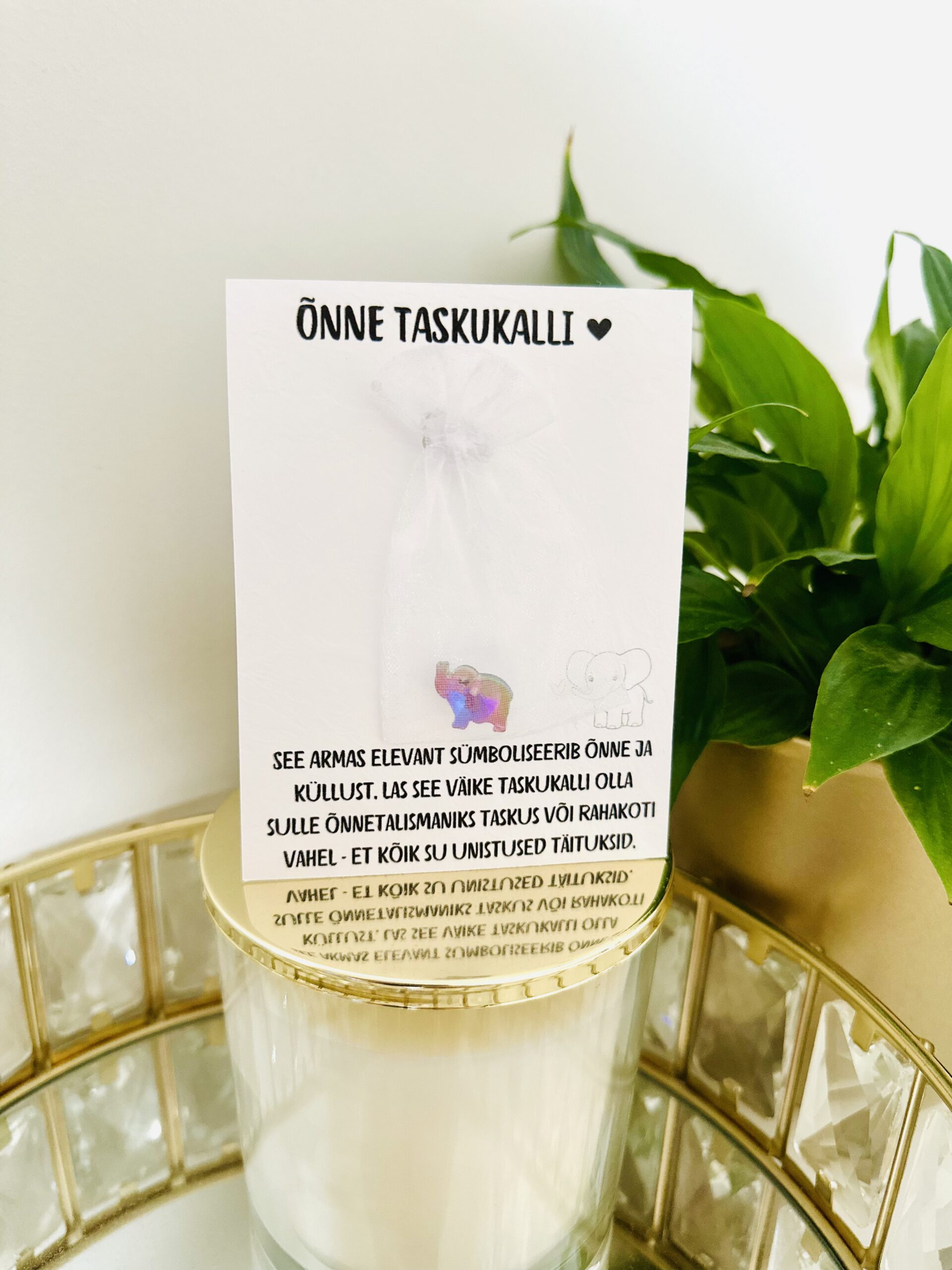 taskukalli Ônnetalisman Ônneelevant_8617