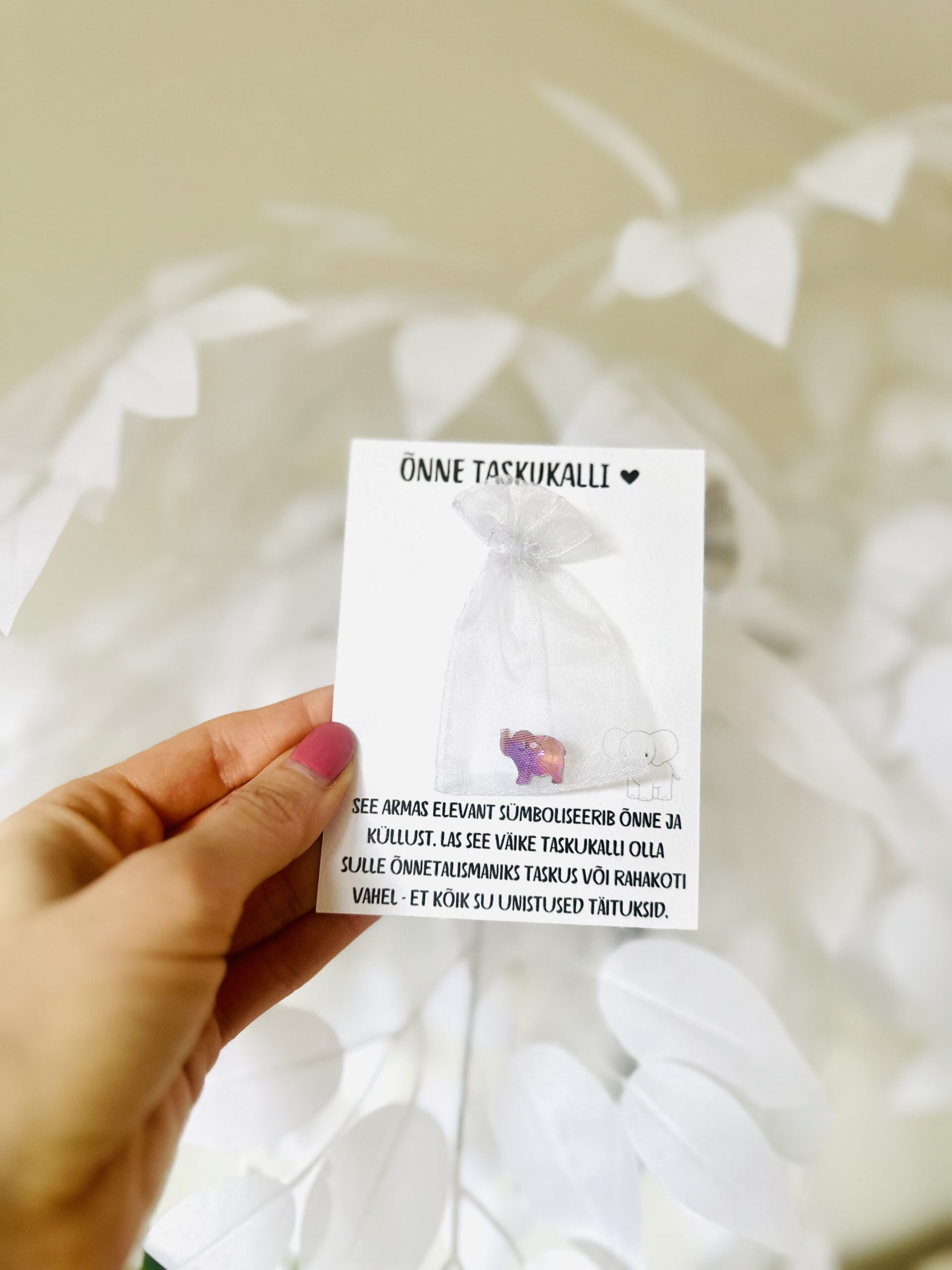 taskukalli Ônnetalisman Ônneelevant_8629